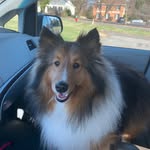 John Rolison - @jrr1159 - Instagram