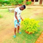 John Romano - @john.romano.98892615 - Instagram