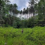 john roesberg - @john.r.roesberg - Instagram
