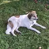 Ronald John - @ronald.john27 - TikTok