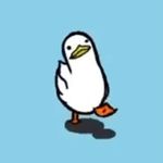 John Ronning - @john_rons_spam - Instagram