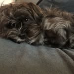 John Roode - @johnr_222025 - Instagram
