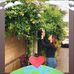 John Rose - Facebook