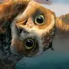 johnorosevear - @johnorosevear - TikTok
