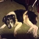 John Rossow - @john.rossow - Instagram