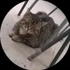 John Rothe - @john.rothe - TikTok