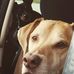 John Roughton - Facebook
