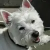 Joey - @johnrounds47 - TikTok