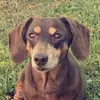 John Rounsville - @john.rounsville - TikTok