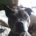 John Rouse - Facebook