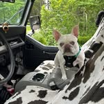 John Rowland - @johnrowlandnola - Instagram