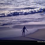 John Rowley - @jrowley1 - Instagram