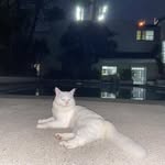 John Roxas - @j.a.r2706 - Instagram
