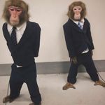 @johnnoroxburghhhhh - Instagram