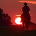 John Royer - Facebook
