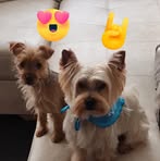 John Rozo - Facebook