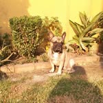 John Rozo - @john.rozo.3956 - Instagram