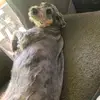 John Ruckman192 - @redditreviews69420 - TikTok