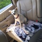 John Ruckman - @john.ruckman.1 - Instagram