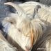John Ruda - Facebook
