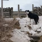 john ruddock - @johnruddock218 - Instagram