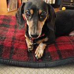 John Ruddock - @jcrbub - Instagram