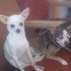 johnnyruggeri580 - @johnnyruggeri580 - TikTok