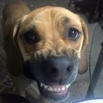 John Rulon - @rulonjohn - Instagram
