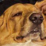 John Rundin - @johnrundin - Instagram
