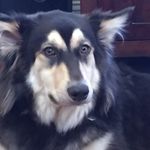 John Rundle - @jrundle - Instagram