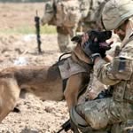 John Runion - @petsforvetsusa - Instagram