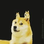 John Rusher - @timmy.thiccboi - Instagram