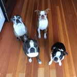 John Rushing - @jr_sailmaker - Instagram