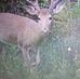 John Rushing - Facebook