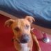 John Saal - Facebook