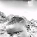 John Lemiso Saeni - Facebook