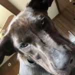 John Sadowski - @john__sadowski - Instagram