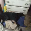 johnsadowski122 - @johnsadowski122 - TikTok