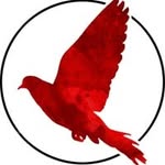 John Henry Safranek - @four49arts - Instagram