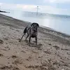 sagojohn - @sagojohn - TikTok