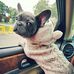 Sam John - Facebook