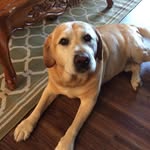 John Salviati - @johnsalviati - Instagram