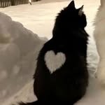 John Sanchez - @johnny_test1237 - Instagram
