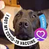 johnsandefur140 - @johnsandefur140 - TikTok