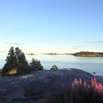 John Sandell - @john.e.sandell - Instagram