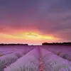 johnsandell613 - @john_j_sandell - TikTok