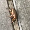 John_Sanders - @john_sanders5 - TikTok