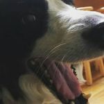 John Sandler - @maniacalspamaccount - Instagram