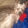 johnsandler885 - @johnsandler885 - TikTok