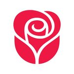 John Sands - @johnsandscards - Instagram